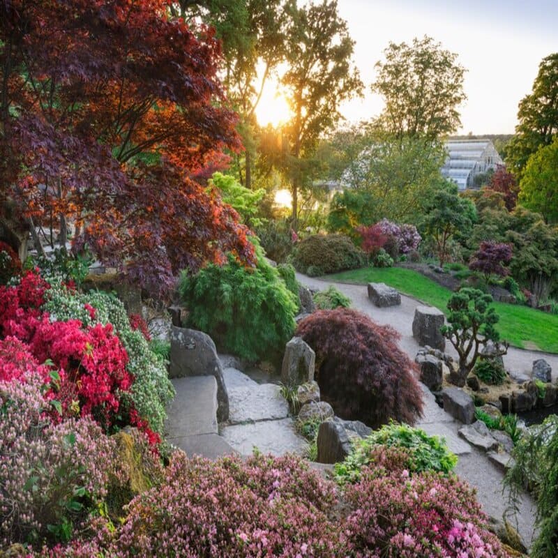 英国皇家园艺协会威斯利花园